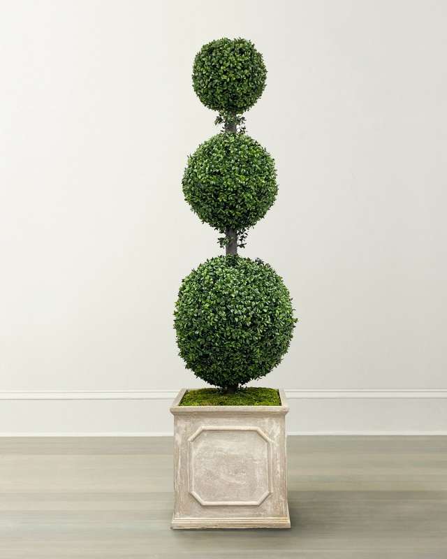 Tall Boxwood Topiary in Square Planter